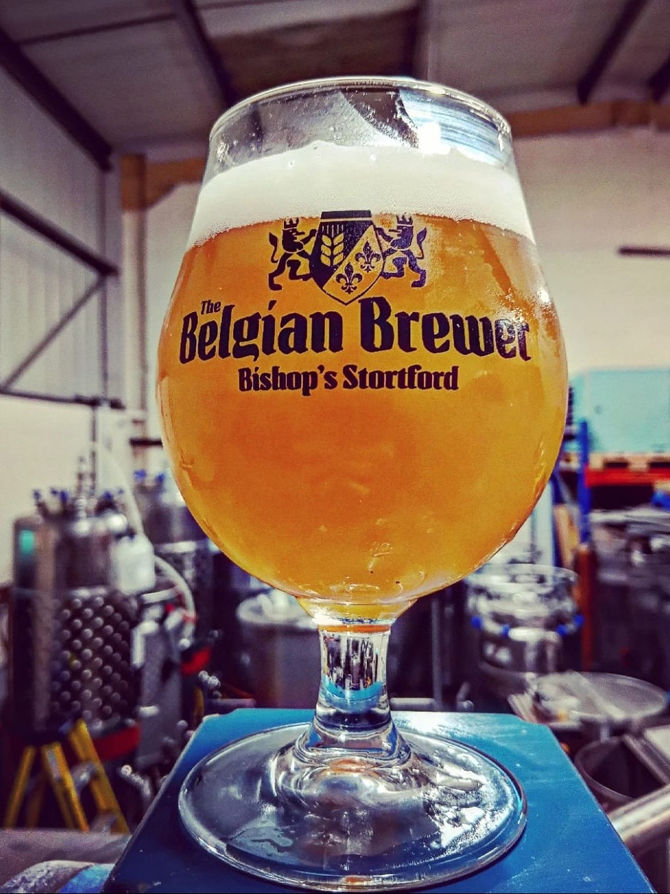 A Belgian Brewer glass of golden beer standing in our Bishop's Stortford brewery, with tanks behind